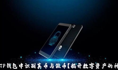 
如何在TP钱包中识别真币与假币？揭开数字资产的神秘面纱