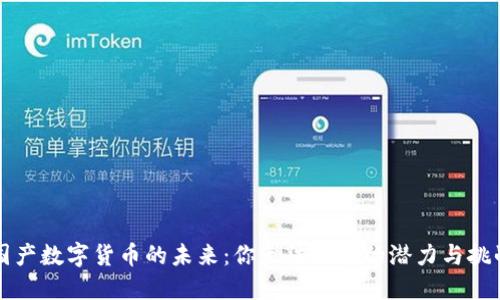 国产数字货币的未来：你无法预见的潜力与挑战