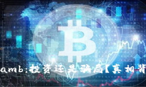 揭秘数字货币Lamb：投资还是骗局？真相背后隐藏着什么？