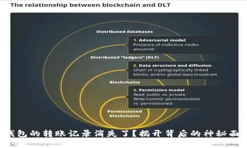 TP钱包的转账记录消失了？揭开背后的神秘面纱!