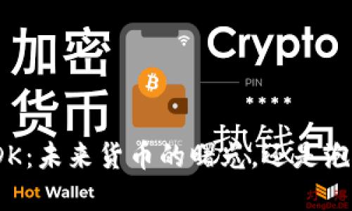 数字货币DK：未来货币的曙光，还是泡沫的幻影？