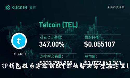 TP钱包提币延迟到账？你的解决方案在这里！