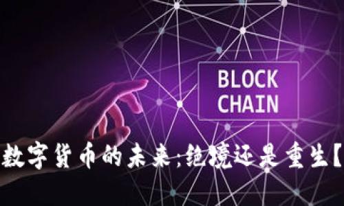 数字货币的未来：绝境还是重生？