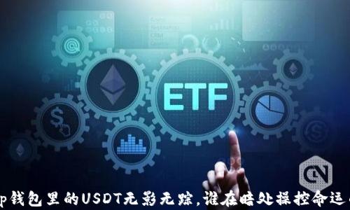 
当t p钱包里的USDT无影无踪，谁在暗处操控命运的线？