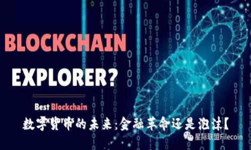数字货币的未来：金融革命还是泡沫？