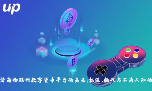 探寻济南物联网数字货币平台的未来：机遇、挑战与不为人知的故事