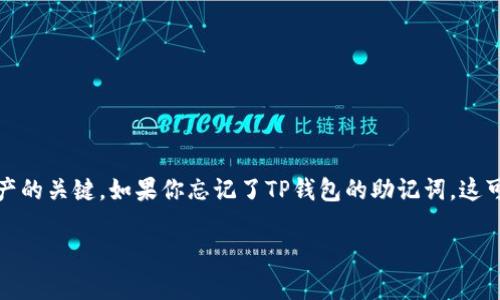 在使用TP钱包等数字钱包时，助记词是极为重要的，它是你访问和管理数字资产的关键。如果你忘记了TP钱包的助记词，这可能会导致你无法访问钱包中的资产。以下是一些处理这一问题的方法和建议。

### 如果遗忘TP钱包的助记词：你能找到回家的路吗？