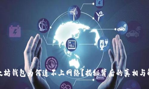 你的以太坊钱包为何连不上网络？揭秘背后的真相与解决方案