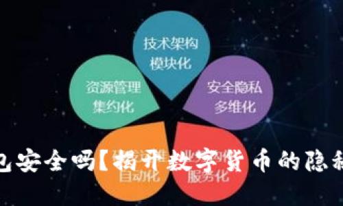 TP钱包安全吗？揭开数字货币的隐秘面纱