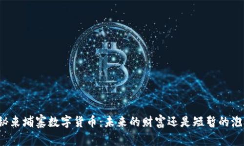 揭秘柬埔寨数字货币：未来的财富还是短暂的泡沫？