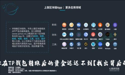 为何你在TP钱包转账后的资金迟迟不到？找出背后的原因！