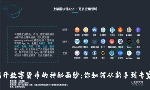 揭开数字货币的神秘面纱：你如何从新手到专家？