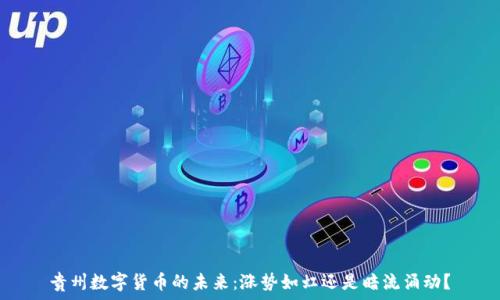   
贵州数字货币的未来：涨势如虹还是暗流涌动？