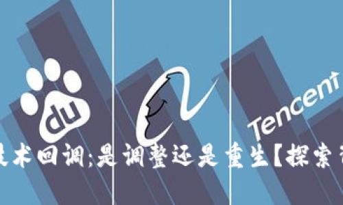 数字货币技术回调：是调整还是重生？探索背后的秘密