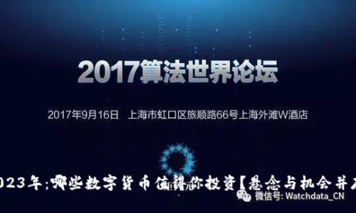 2023年：哪些数字货币值得你投资？悬念与机会并存！