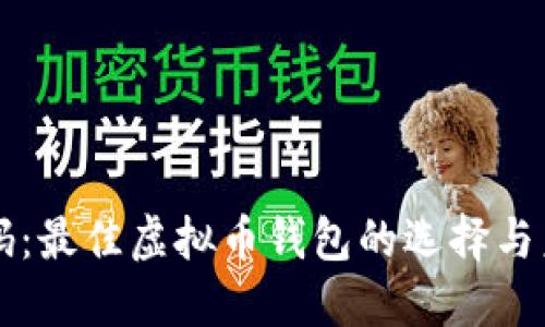 揭开密码：最佳虚拟币钱包的选择与未来展望
