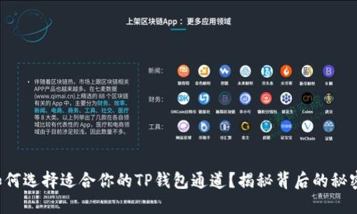 如何选择适合你的TP钱包通道？揭秘背后的秘密！