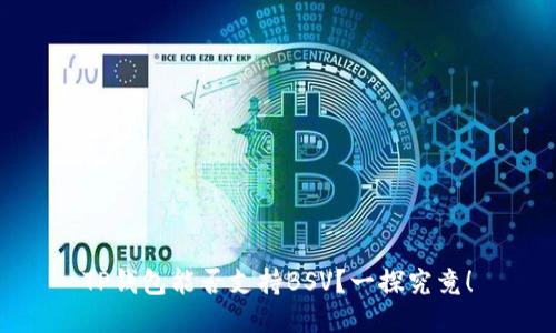 TP钱包能否支持BSV？一探究竟！