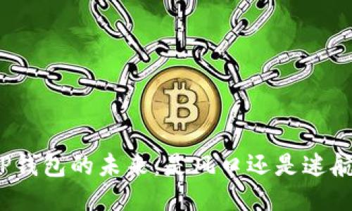 TP钱包的未来：是风口还是迷航？