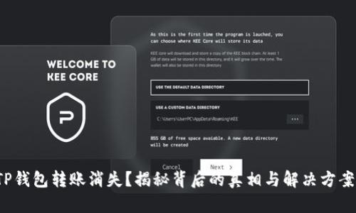 TP钱包转账消失？揭秘背后的真相与解决方案！