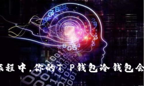 在虚拟货币的旅程中，你的T P钱包冷钱包会遇到什么意外？