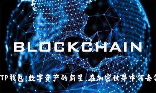 探秘TP钱包：数字资产的新星，在加密世界中何去何从？