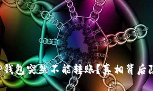 为何你的TP钱包突然不能转账？真相背后隐藏了什么？