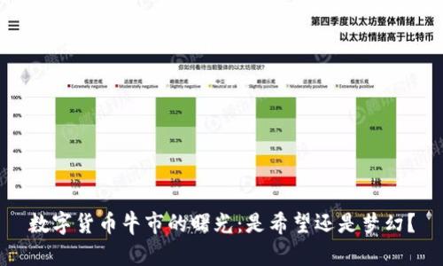数字货币牛市的曙光：是希望还是梦幻？