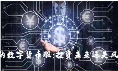 易方达的数字货币股：投资未来还是风险之旅？