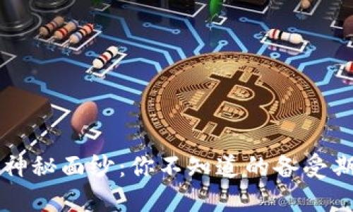  揭开TP钱包的神秘面纱：你不知道的备受期待的下载体验！