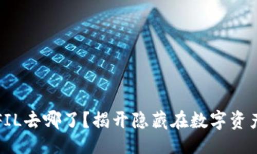 与关键词

TP钱包中的FIL去哪了？揭开隐藏在数字资产背后的秘密