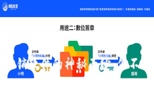 揭开数字货币直销软件的神秘面纱：你不知道的背后故事