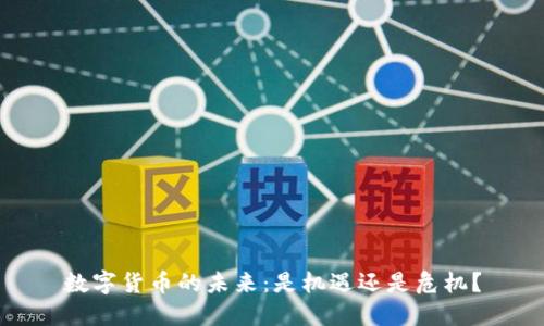 数字货币的未来：是机遇还是危机？