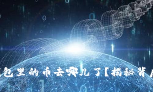 你的TP钱包里的币去哪儿了？揭秘背后的真相！