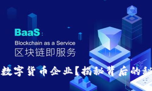 雷军如何投资数字货币企业？揭秘背后的秘密与未来趋势
