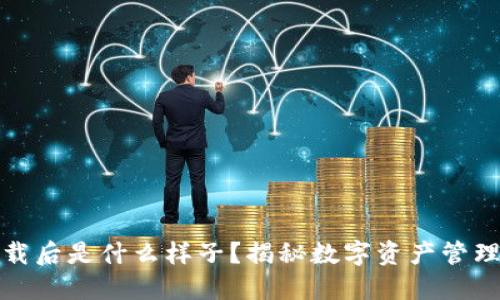 TP钱包下载后是什么样子？揭秘数字资产管理的新世界