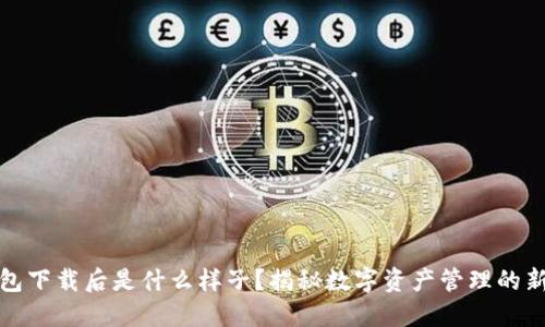 TP钱包下载后是什么样子？揭秘数字资产管理的新世界