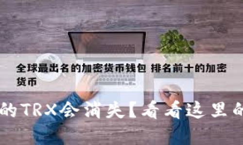 为什么你的TP钱包里的TRX会消失？看看这里的可能原因与解决方法