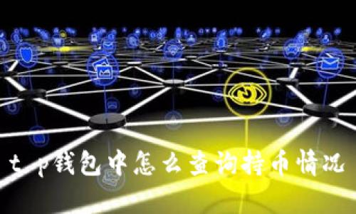 t p钱包中怎么查询持币情况