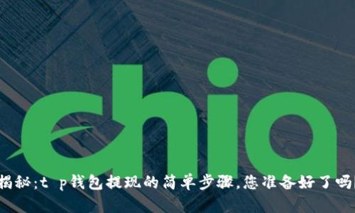 揭秘：t p钱包提现的简单步骤，您准备好了吗？