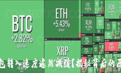   
为何你的TP钱包转入速度遽然减缓？揭秘背后的原因与解决方案
