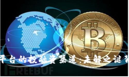 揭秘数字货币平台的投融资渠道：未解之谜背后的财富之路