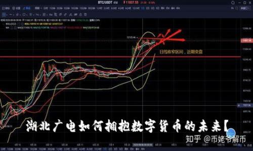 湖北广电如何拥抱数字货币的未来？