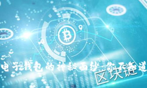 揭开以太坊电子钱包的神秘面纱：你不知道的背后故事