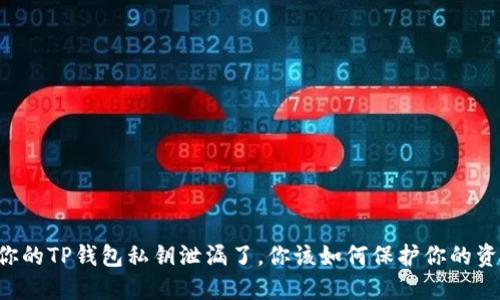 当你的TP钱包私钥泄漏了，你该如何保护你的资产？