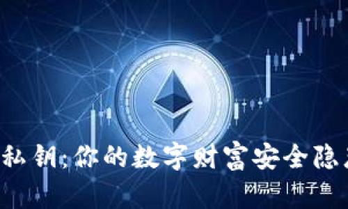 揭秘T P钱包私钥：你的数字财富安全隐患与保护方案