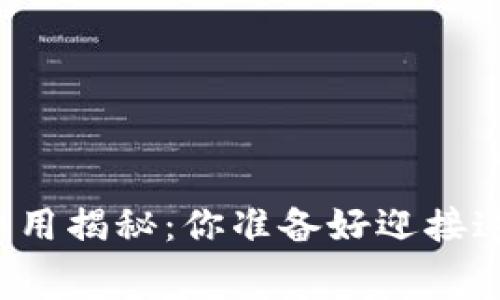 以太坊钱包交易费用揭秘：你准备好迎接这笔意外开销了吗？