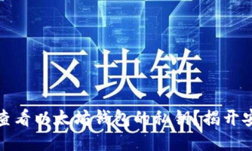 如何安全查看以太坊钱包的私钥？揭开安全的面纱