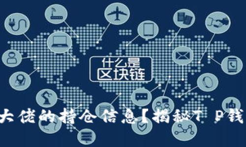 如何轻松查看大佬的持仓信息？揭秘T P钱包背后的秘密！