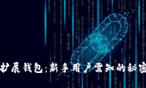 以太坊扩展钱包：新手用户需知的秘密与技巧